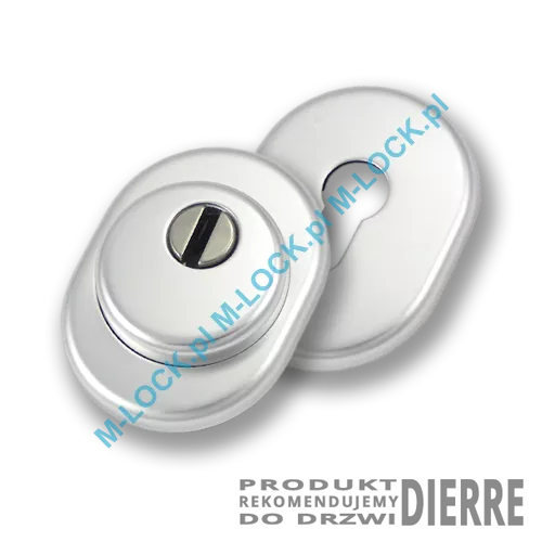 Szyld antywłamaniowy PROTECTOR AF-0138-AAd, dierre/chrom matowy