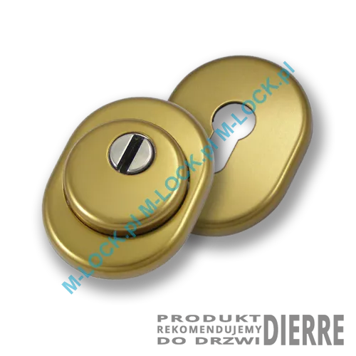 Szyld antywłamaniowy PROTECTOR AF-0138-ABd, dierre/stary mosiądz