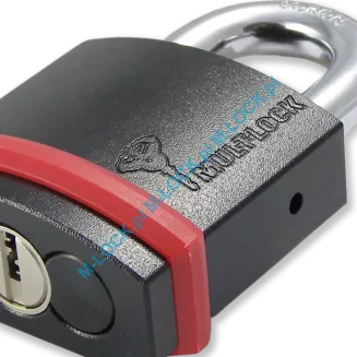 MUL-T-LOCK Interactive NE10G, kłódka hartowana - 4