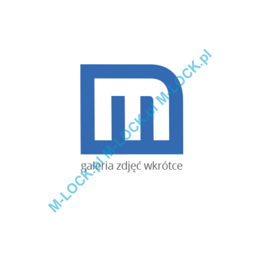 Defender MAGNETICO DF301-CS, szyld antywłamaniowy MOTTURA