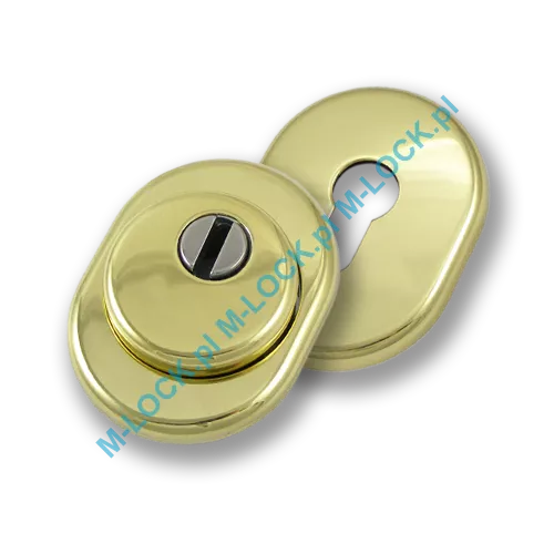 Szyld antywłamaniowy PROTECTOR AF-0138-OLV, mosiądz błyszczący