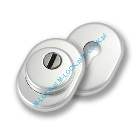 Szyld antywłamaniowy PROTECTOR AF-0138-AA, chrom matowy