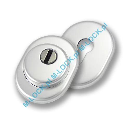 Szyld antywłamaniowy PROTECTOR AF-0138-AA, chrom matowy