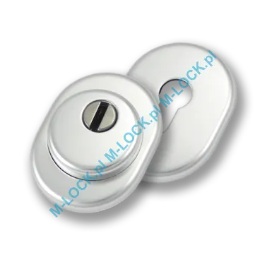 Szyld antywłamaniowy PROTECTOR AF-0138-AA, chrom matowy