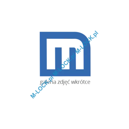 CAM 7 RIM/N, cylinder zamka nawierzchniowego