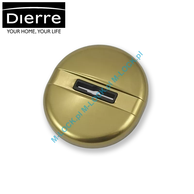 Dierre GIUGIARO, rozeta na klucz dwupiórowy, (brąz anodowany)