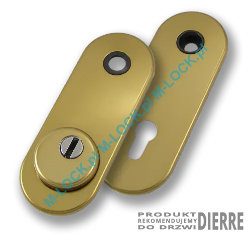 Szyld antywłamaniowy PROTECTOR AF-0338-ABd, dierre/stary mosiądz