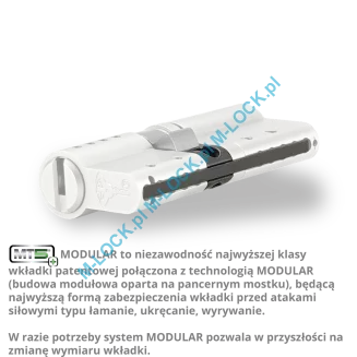 MUL-T-LOCK MTL 800 Modular / MT5+ 50/60NN (110 mm), wkładka patentowa - 4