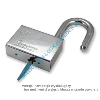 MUL-T-LOCK Interactive C13, kłódka hartowana - 3