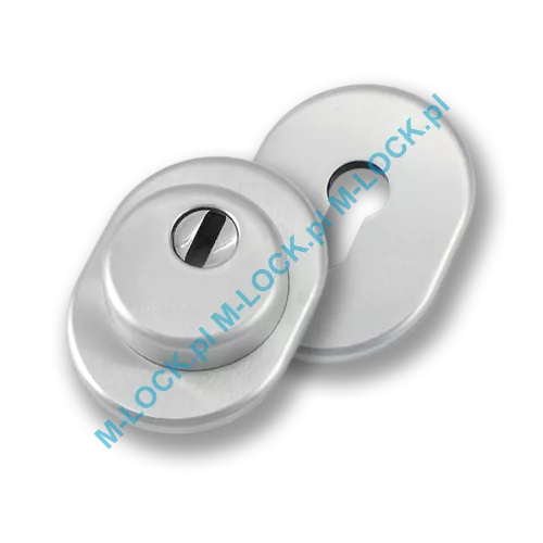 Szyld antywłamaniowy PROTECTOR AF-0138-CS, chrom szczotkowany